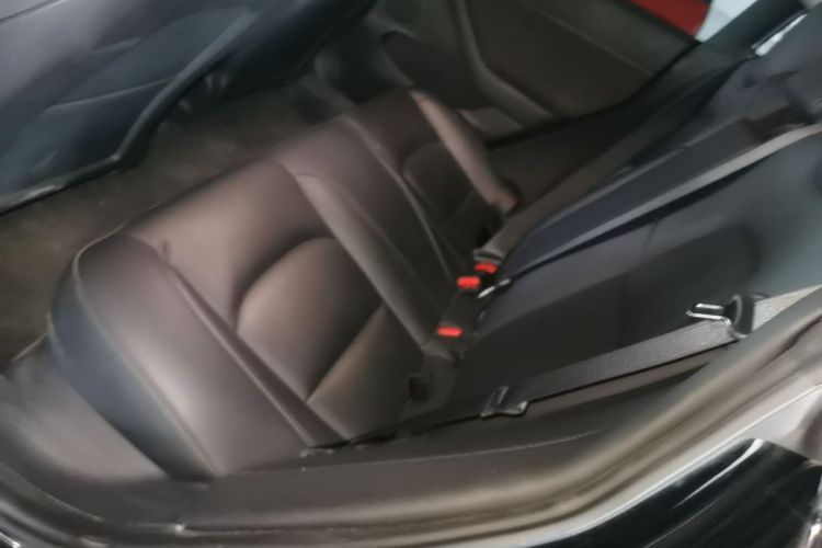 Tesla Model 3 2021 car image #17