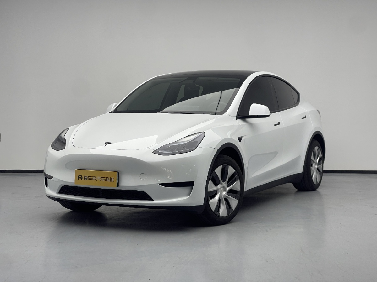 Tesla Model Y 2024 car image 
