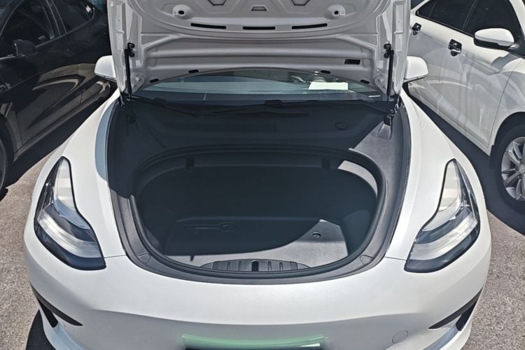 Tesla Model 3 2020 car image #20