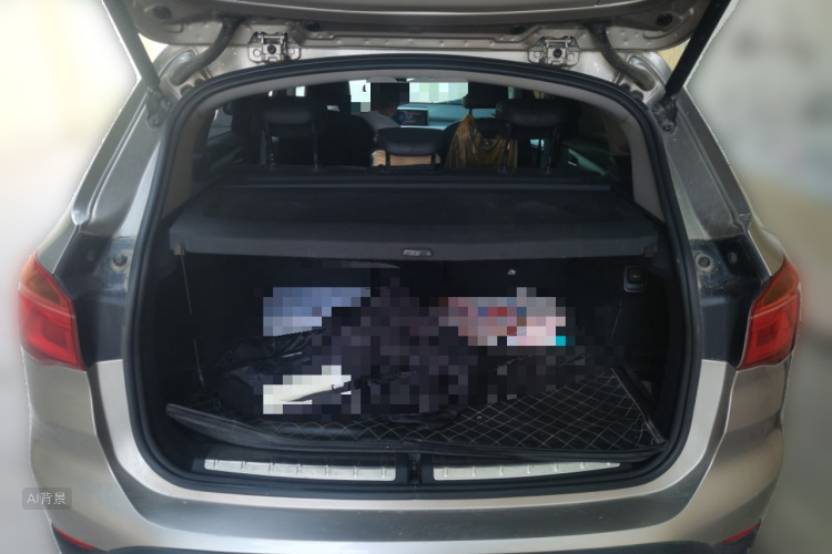 BMW X1 2016 car image #21