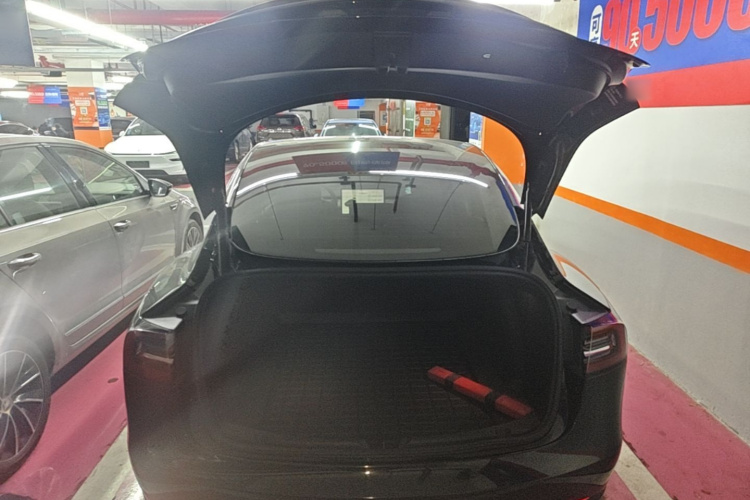 Tesla Model 3 2021 car image #19