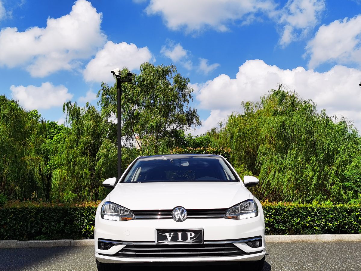 Volkswagen Golf 2019 #2 Volkswagen Golf 2019 car image #2