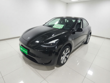 Tesla Model Y 2023 car image 