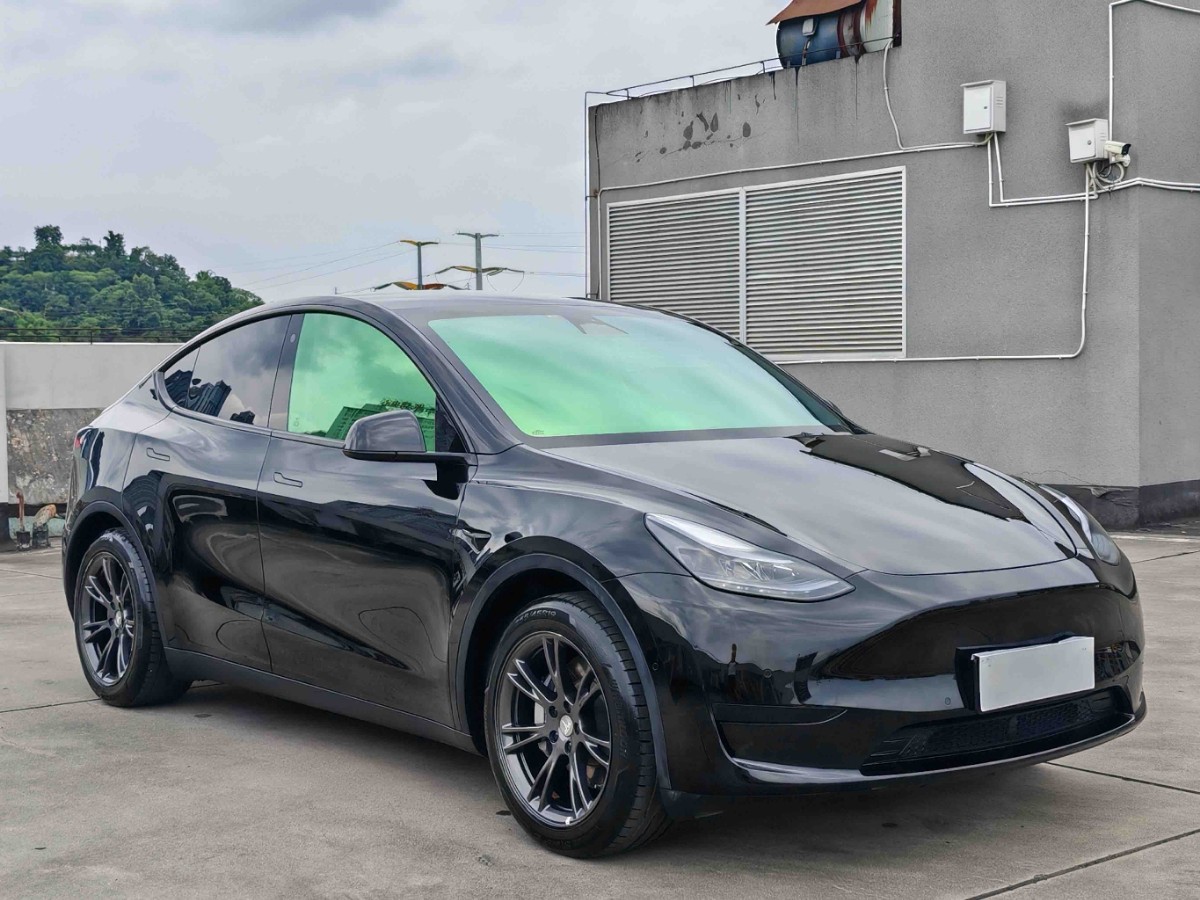 Tesla Model Y 2024 immagine di auto #3