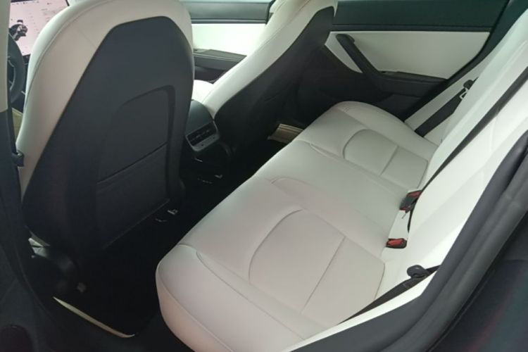 Tesla Model 3 2020 car image #17