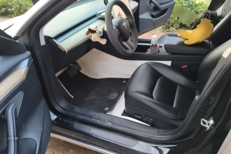 Tesla Model 3 2021 #18 Tesla Model 3 2021 image de voiture #18