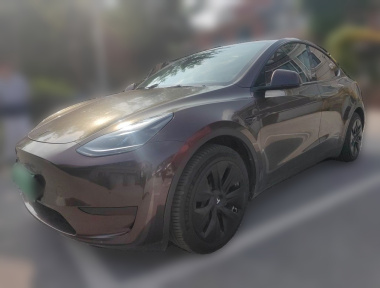 Tesla Model Y 2023 Tesla Model Y 2023 car image