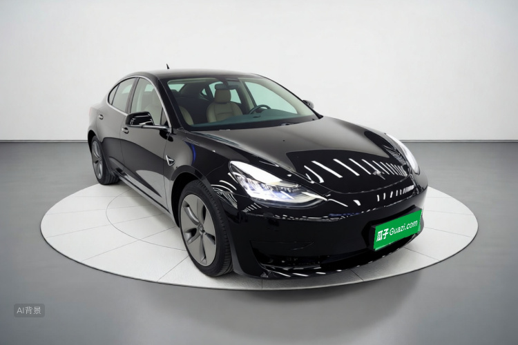 Tesla Model 3 2020 car image #4