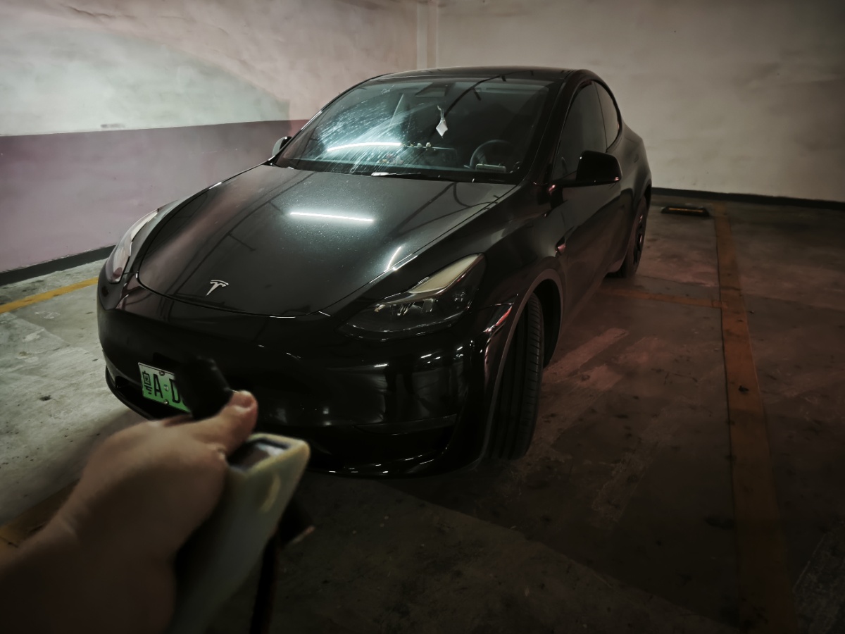 Tesla Model Y 2021 Tesla Model Y 2021 car image