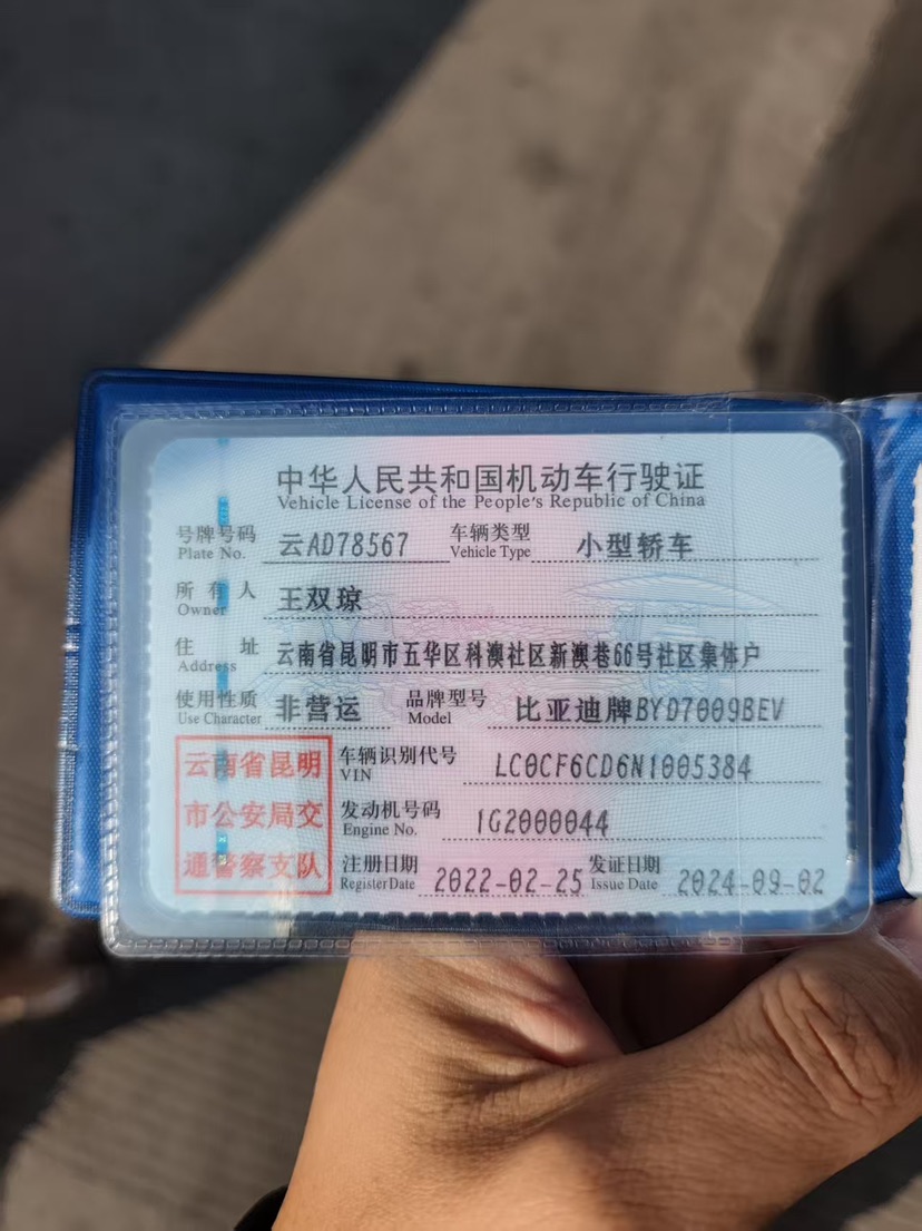 BYD Han 2022 car image #10