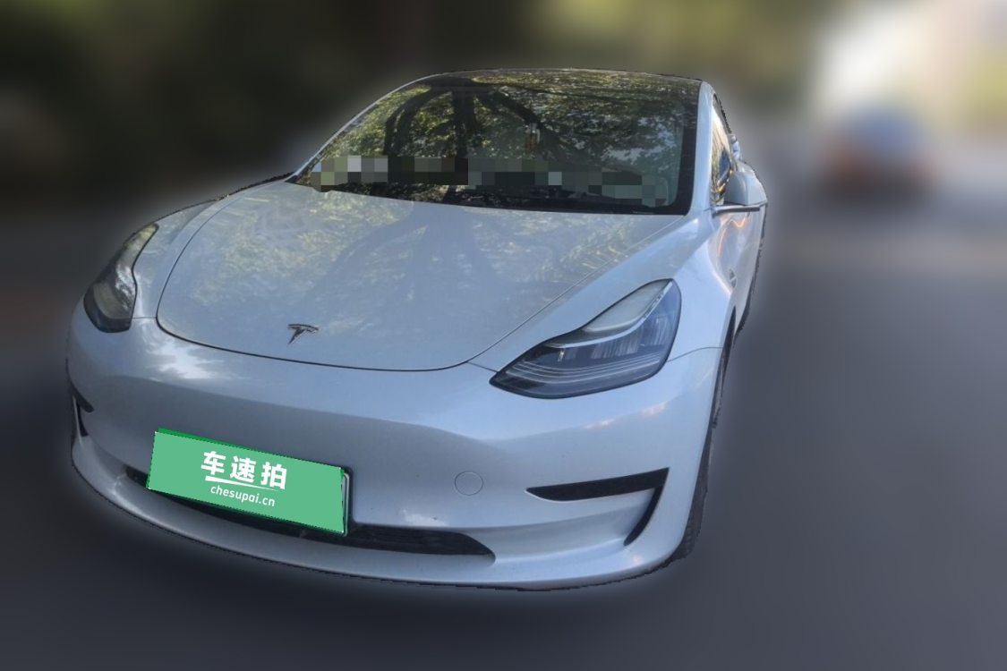 Tesla Model 3 2020 Tesla Model 3 2020 car image