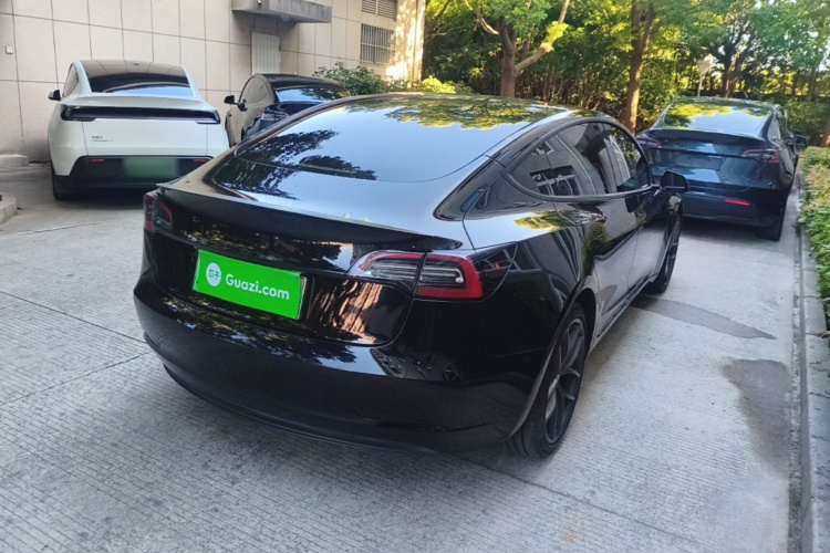 Tesla Model 3 2022 car image #5