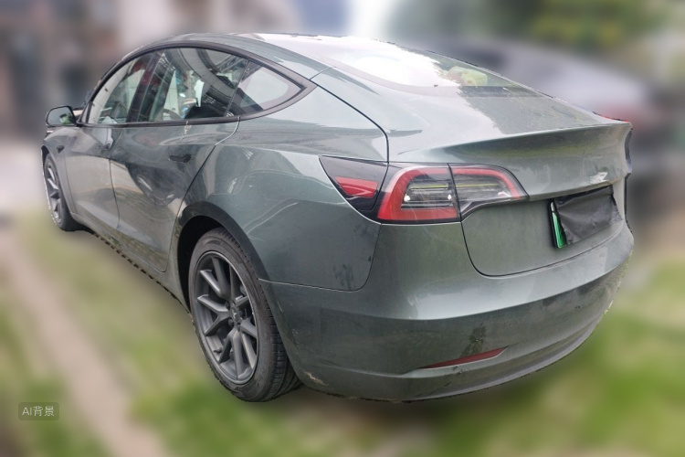 Tesla Model 3 2021 car image #5