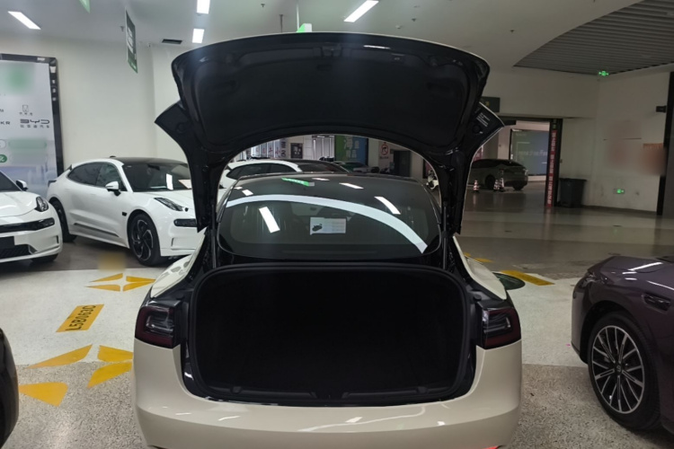 Tesla Model 3 2020 #22 Tesla Model 3 2020 immagine di auto #22