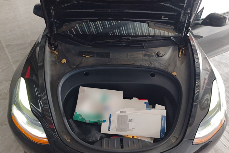 Tesla Model 3 2021 car image #22