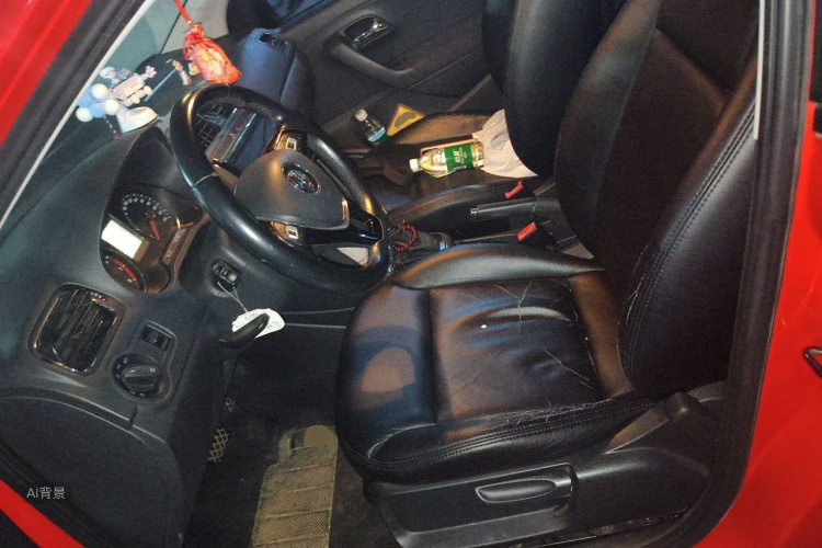 Volkswagen Polo 2016 car image #17