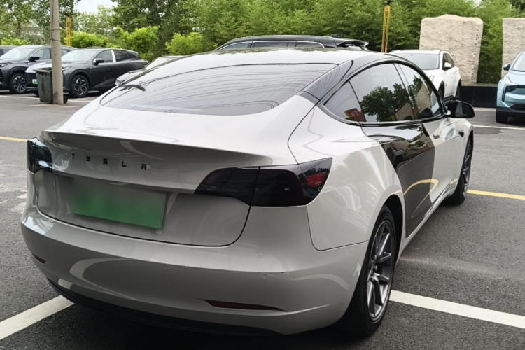 Tesla Model 3 2020 #7 Tesla Model 3 2020 car image #7