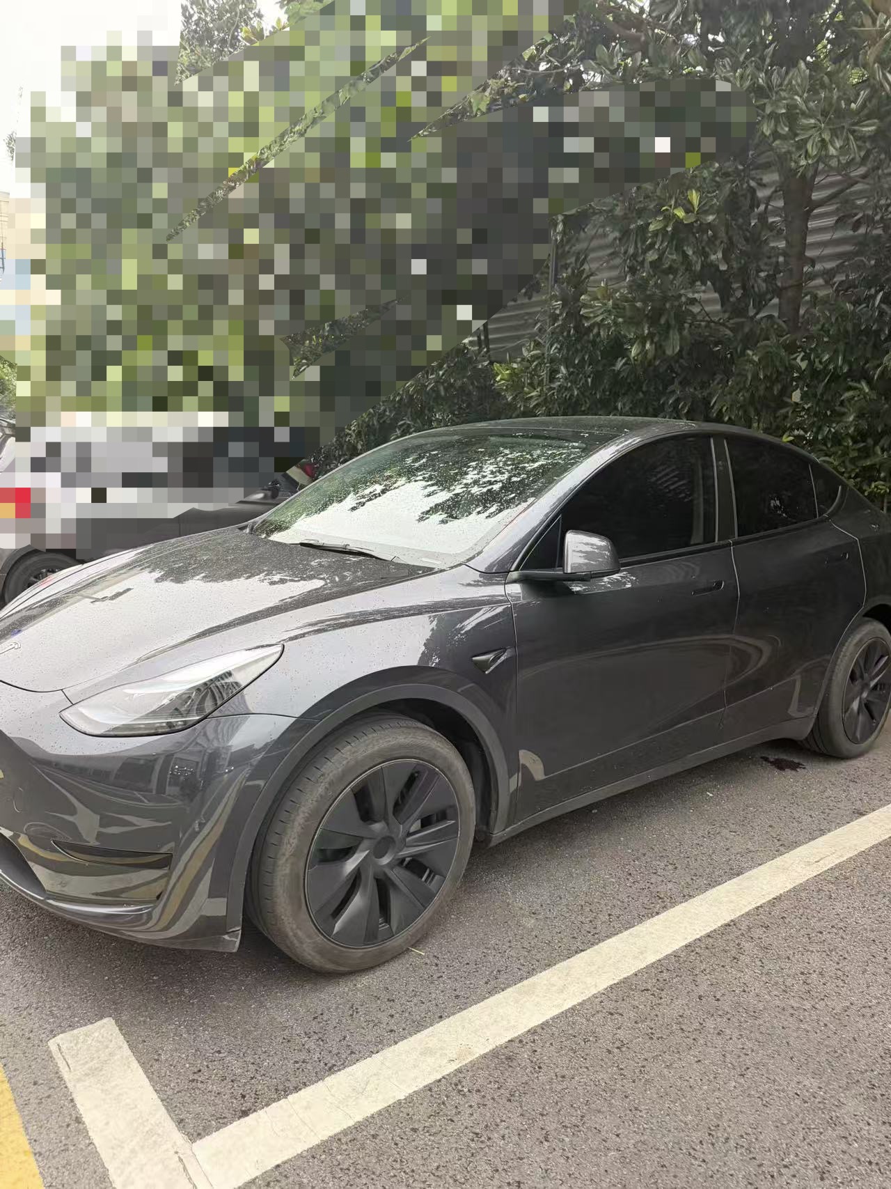 Tesla Model Y 2024 car image #2