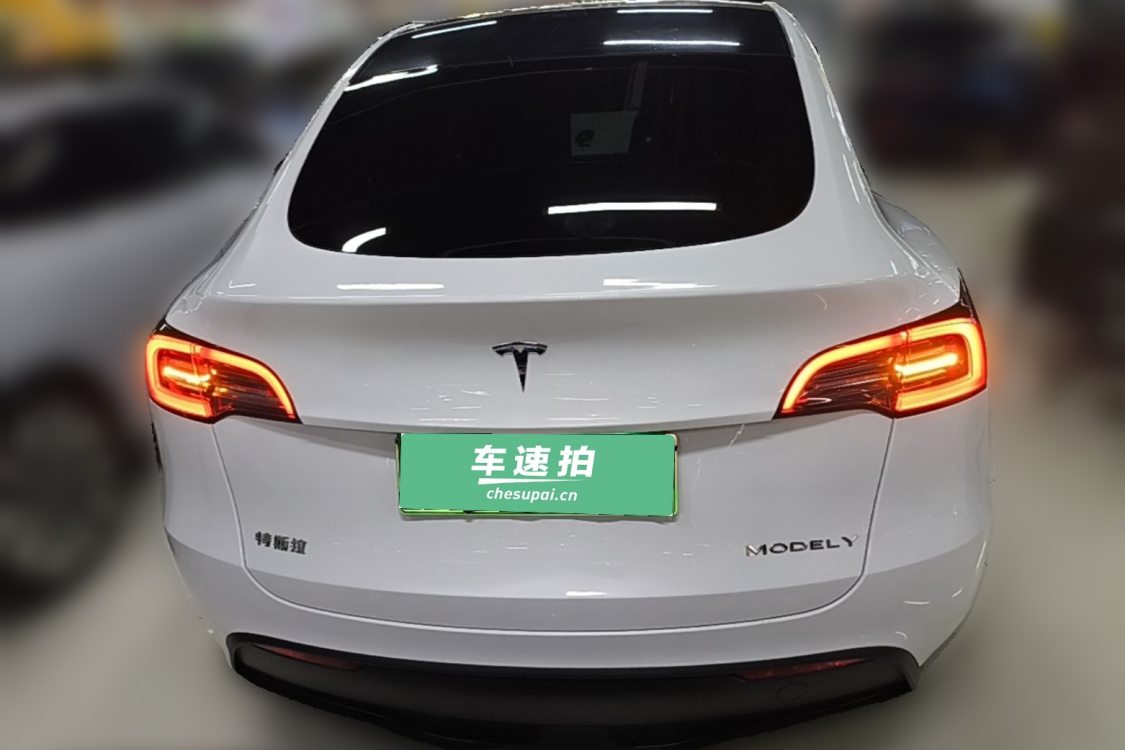 Tesla Model Y 2024 car image #6