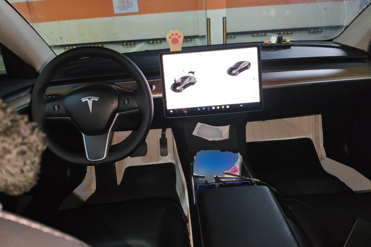 Tesla Model 3 2022 car image #7