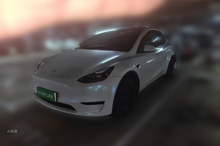 Tesla Model Y 2023 #2 Tesla Model Y 2023 car image #2