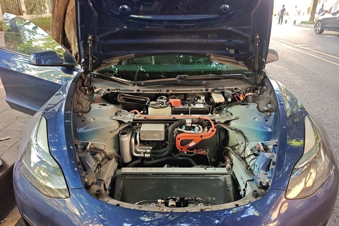 Tesla Model 3 2021 #10 Tesla Model 3 2021 car image #10