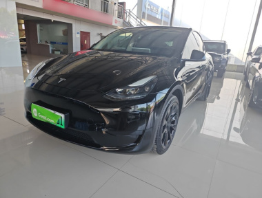 Tesla Model Y 2023 car image 