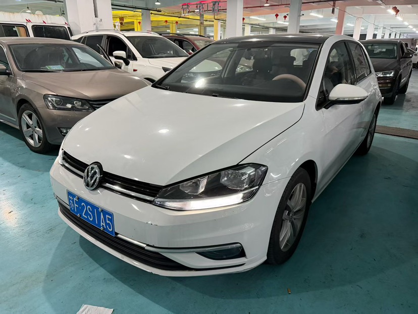 Volkswagen Golf 2019 Volkswagen Golf 2019 car image