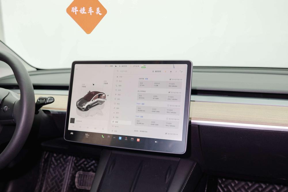 Tesla Model 3 2023 car image #9
