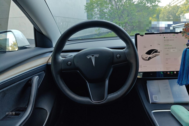 Tesla Model 3 2021 car image #12