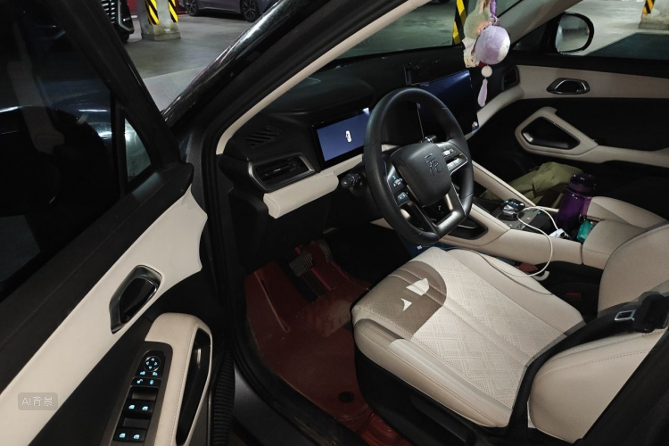 BYD YuanUP 2024 car image #18
