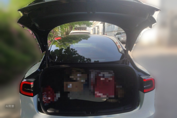 Tesla Model 3 2021 car image #21