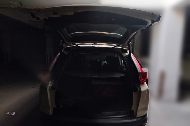 Honda CR-V 2019 car image #21