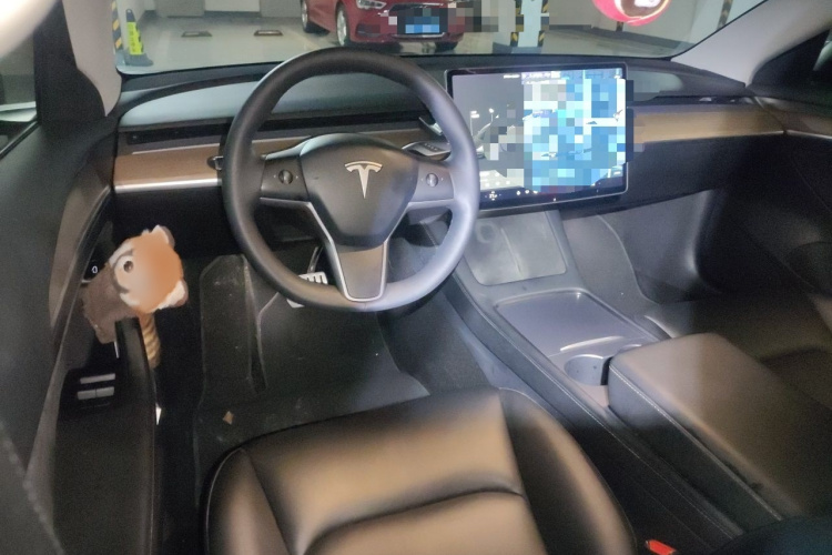 Tesla Model 3 2021 #12 Tesla Model 3 2021 car image #12