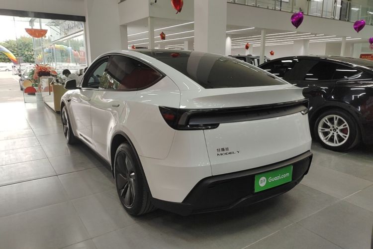 Tesla Model Y 2025 car image #5