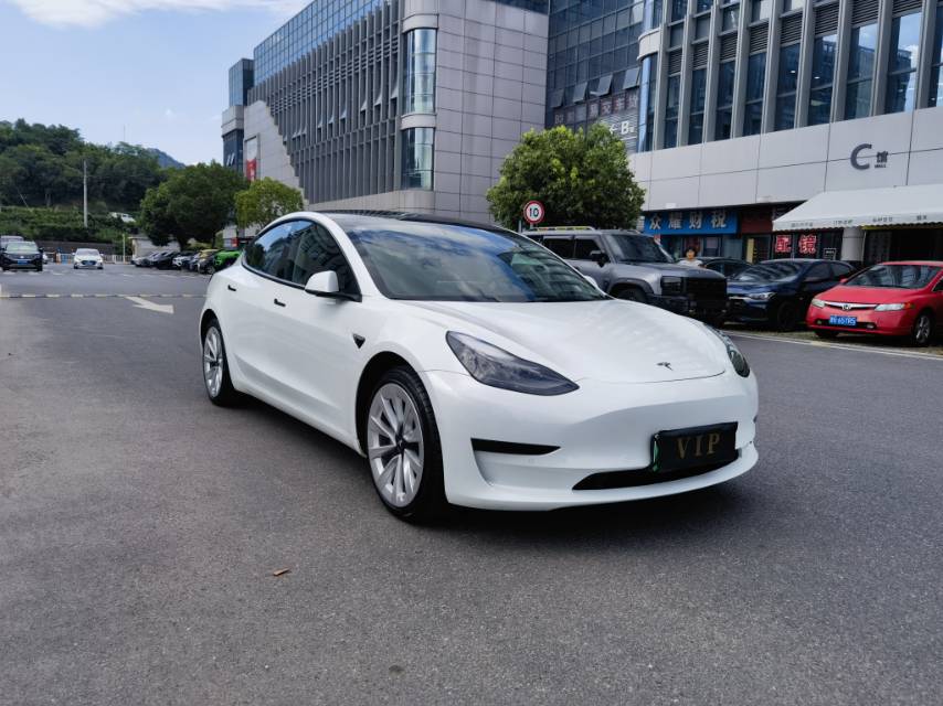Tesla Model 3 2021 #3 Tesla Model 3 2021 car image #3
