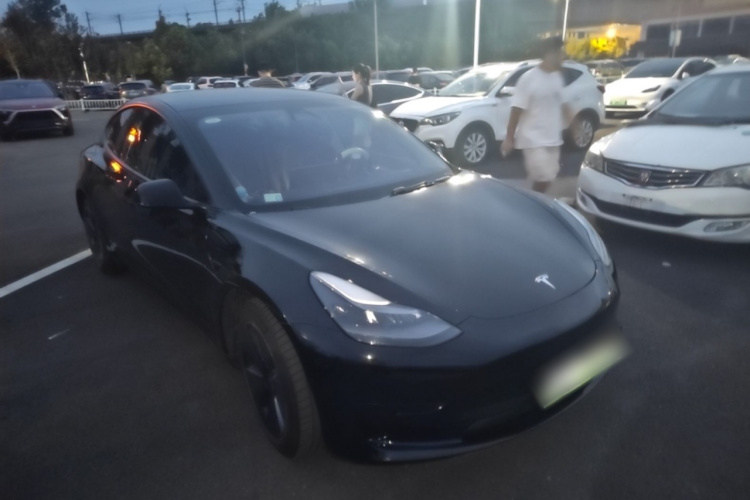 Tesla Model 3 2021 #4 Tesla Model 3 2021 car image #4