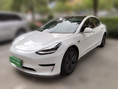 Tesla Model 3 2020 Tesla Model 3 2020 immagine di auto