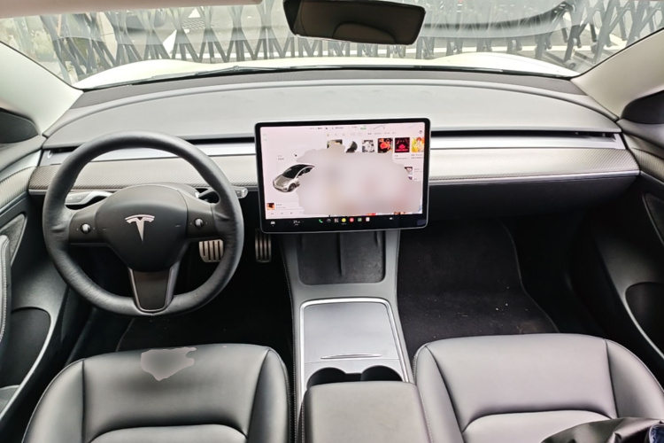 Tesla Model 3 2021 car image #10
