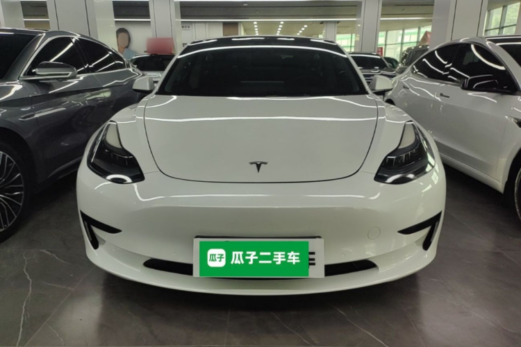 Tesla Model 3 2021 #3 Tesla Model 3 2021 car image #3