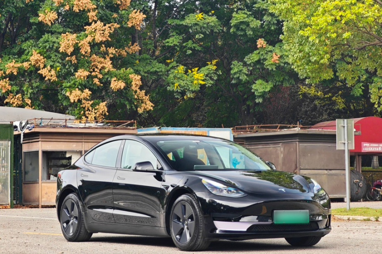 Tesla Model 3 2023 car image #6