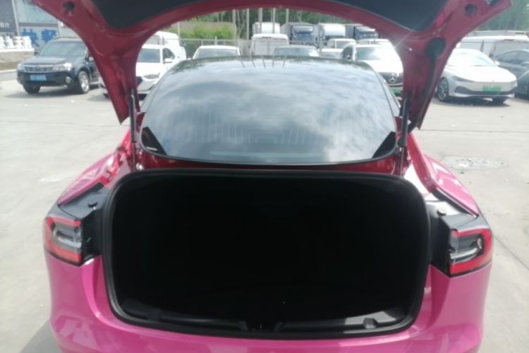 Tesla Model 3 2020 car image #19