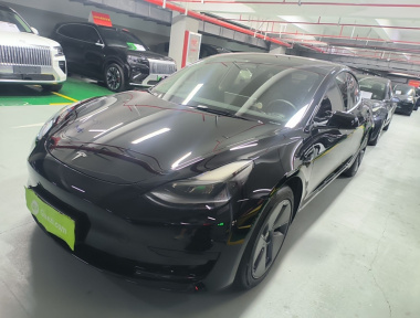 Tesla Model 3 2022 Tesla Model 3 2022 car image
