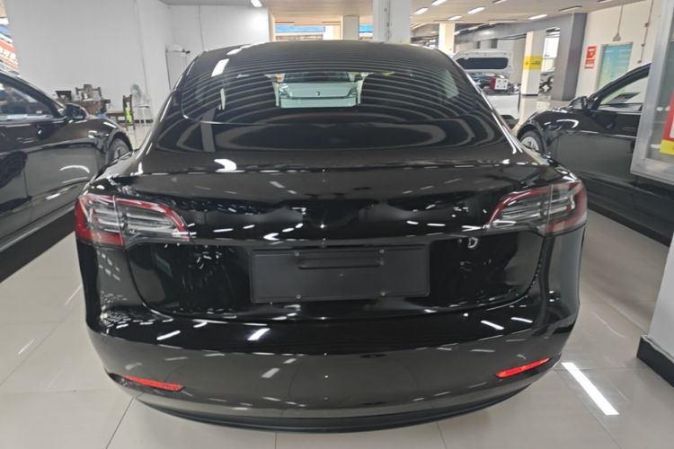 Tesla Model 3 2020 car image #6