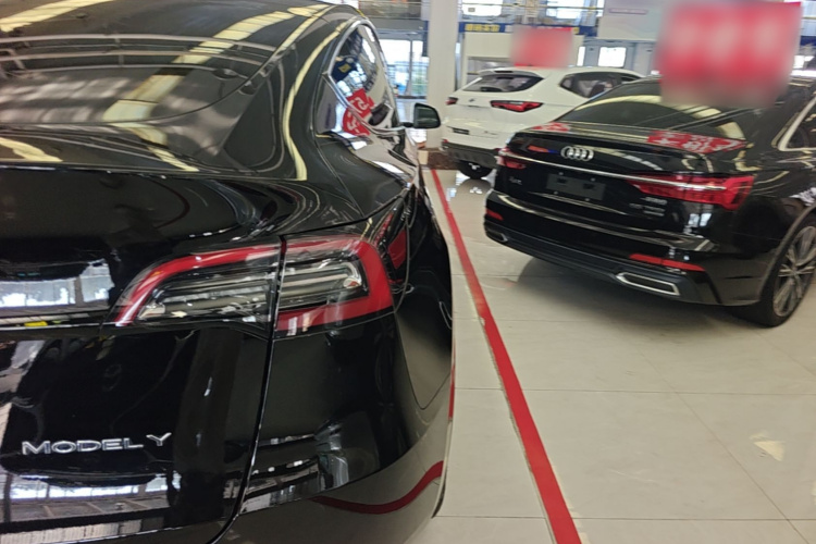 Tesla Model Y 2023 #8 Tesla Model Y 2023 car image #8