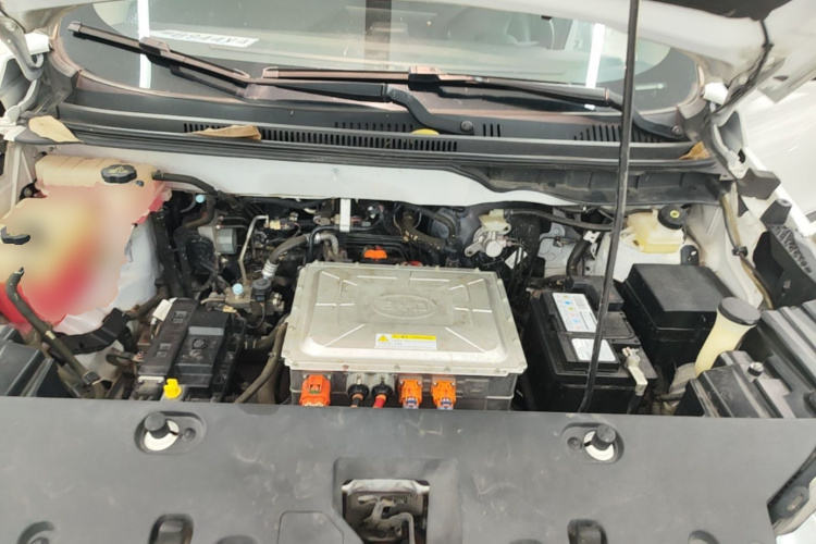BYD Yuan New Energy 2020 car image #20