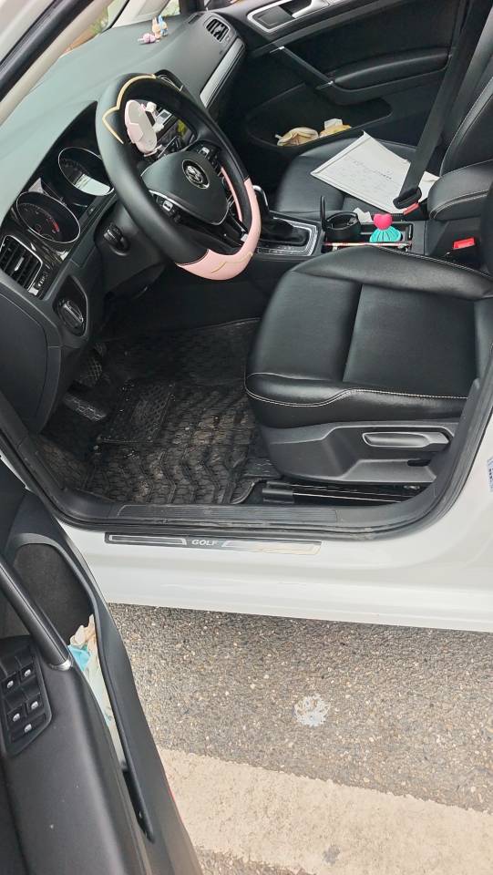Volkswagen Golf 2019 #5 Volkswagen Golf 2019 imagen de coche #5