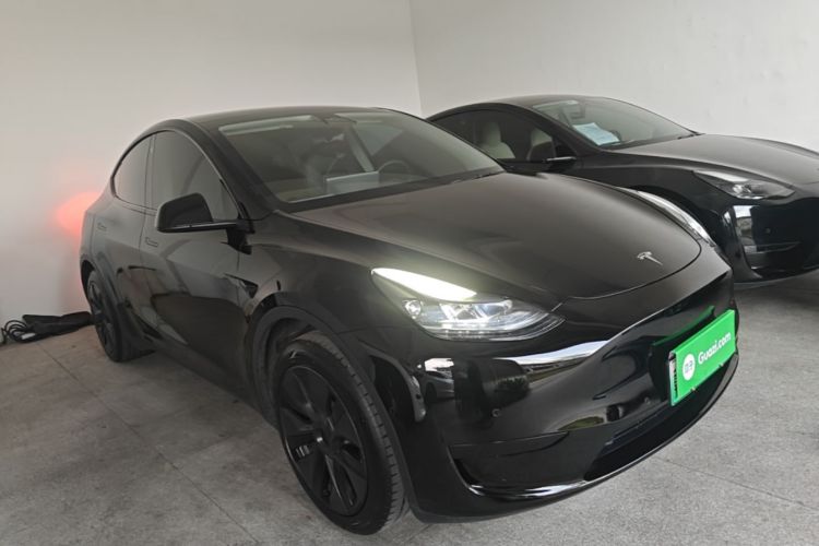 Tesla Model Y 2023 car image #4