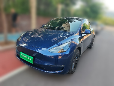 Tesla Model Y 2021 car image 