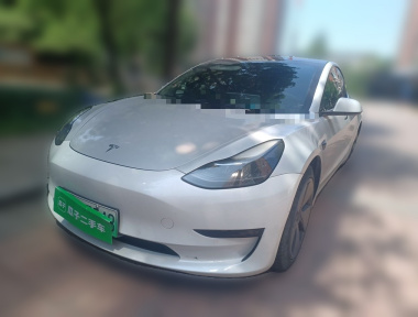 Tesla Model 3 2022 Tesla Model 3 2022 car image
